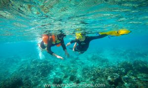 paket wisata lombok 4 hari 3 malam