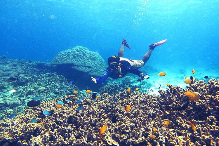 Indahnya Snorkeling di Lombok - Tips Melakukan Snorkeling di Pulau Lombok