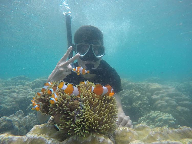 Snorkeling di Pantai Senggigi, sumber ig travel_lombok_murah